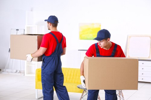 Professional packing boxes and moving supplies for a Highams Park home move