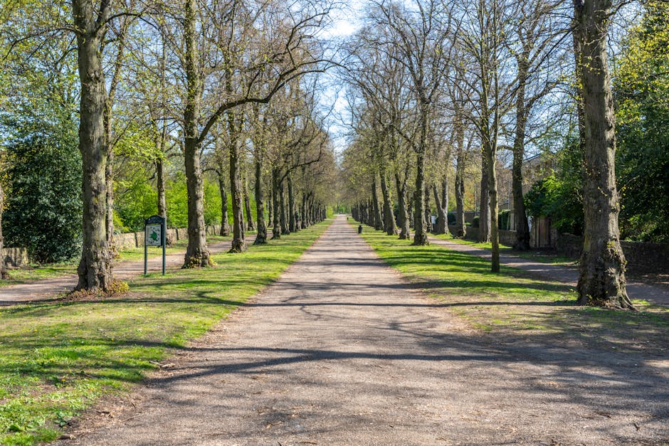 A straight gravel pathway lined with evenly spaced deciduous trees on both sides, some with young green leaves and others with bare branches, extends into the distance in a park setting during daytime