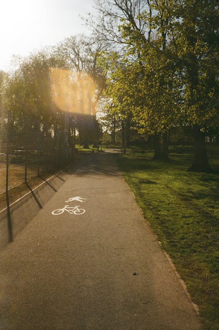 A paved pathway in a park during late afternoon or early evening, with a white bicycle lane marking visible on the surface. To the left, there is a metal railing casting shadows onto the path, while on the right, there is a grassy area with mature trees that have green leaves, some sunlight filtering through the branches. This outdoor scene depicts a quiet, natural environment likely used for walking or cycling, and although not directly showing house removals or transport activity, it reflects the type of environment where homeowners or removal services like Man with Van Highams Park may operate during a home relocation or moving process near Chingford and Larkshall Road.