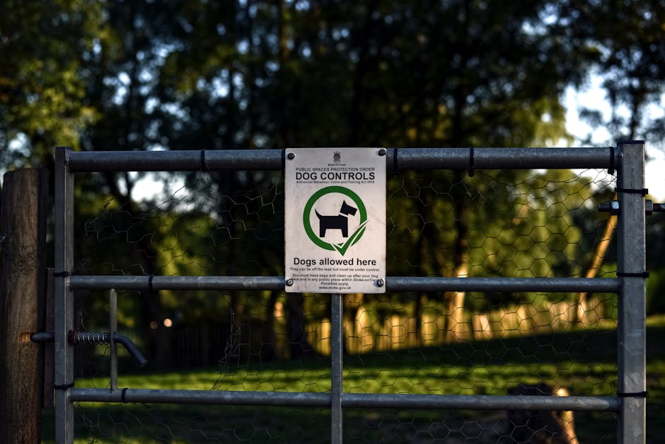 Close-up view of a metal gate with a sign attached, indicating dog control and stating 'Dogs allowed here.' The sign features a black silhouette of a dog inside a green circle and is mounted at the center of the gate. The gate is constructed of dark metal with horizontal and vertical bars reinforced by wire mesh. The gate is situated outside a residential property, with a background of blurred trees and sunlight filtering through leaves, suggesting a park or garden area. The ground nearby appears to be paved or concrete, suitable for moving and loading furniture or boxes during a home relocation. The scene reflects the outdoor environment where a professional removals team, such as [COMPANY_NAME], might load or unload items during a house move or furniture transport, ensuring compliance with local regulations especially when moving through public spaces.