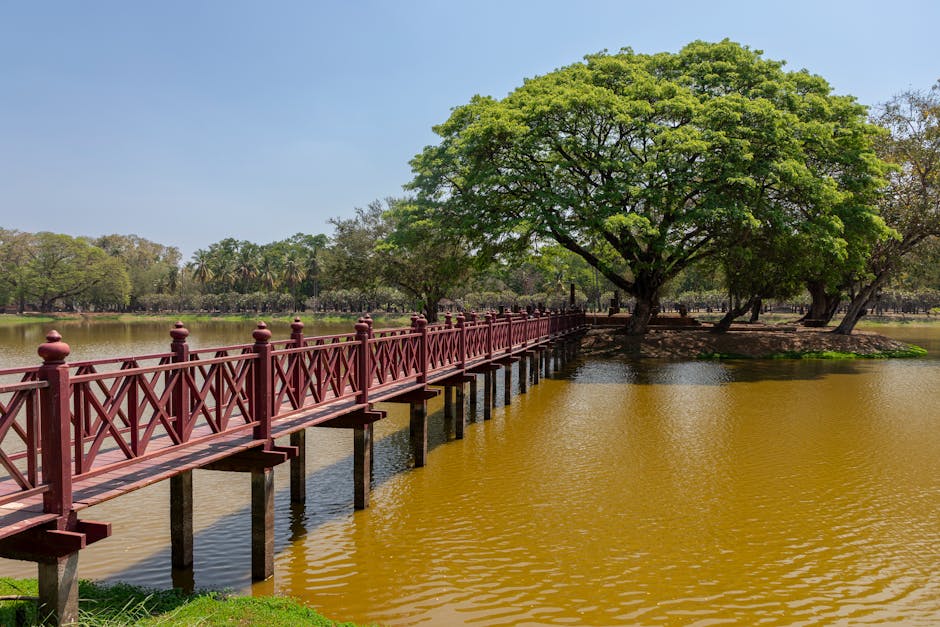 A wooden footbridge painted in deep red extends across a calm lake, supported by multiple vertical posts, with decorative balustrades along its length. The bridge begins near the camera and leads toward a small island or bank area with lush green trees, including a prominent tree with bright green foliage that overhangs the water. The water surrounding the bridge has a reflective surface with gentle ripples, and the scene is set under a clear, blue sky during daytime. The environment appears tranquil, with the lake bordered by additional trees in the background, indicating a park or natural setting. This image relates to house removals and moving logistics, illustrating the importance of accessible pathways and careful planning for furniture transport and property access during the loading process, as exemplified by services like those provided by Man with Van Highams Park.