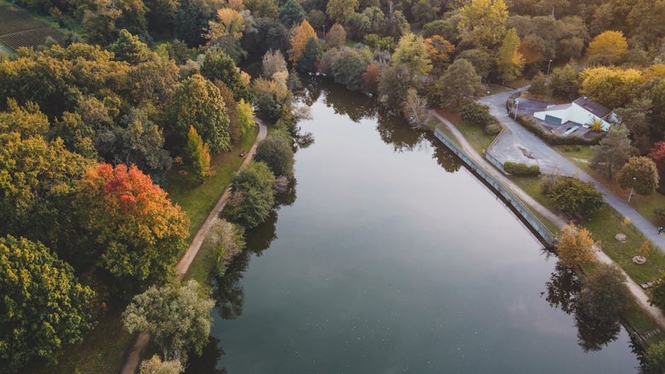 An aerial view of a serene lake surrounded by dense trees with foliage displaying autumn colors such as orange, yellow, and green. Along one side of the lake, a narrow paved path runs parallel to the water, bordered by a low metal railing, indicating a public walkway or access route often used during home relocation or furniture transport. Next to the path, there are several residential buildings and a small parking area, with some vehicles parked nearby. The scene is well-lit with natural daylight, and the calm water surface reflects the trees and sky above. The image highlights a typical setting where professional removals services, like those provided by Man with Van Highams Park, might operate, especially when navigating access points for house removals or tackling tricky site locations near natural landscapes during packing and moving processes.
