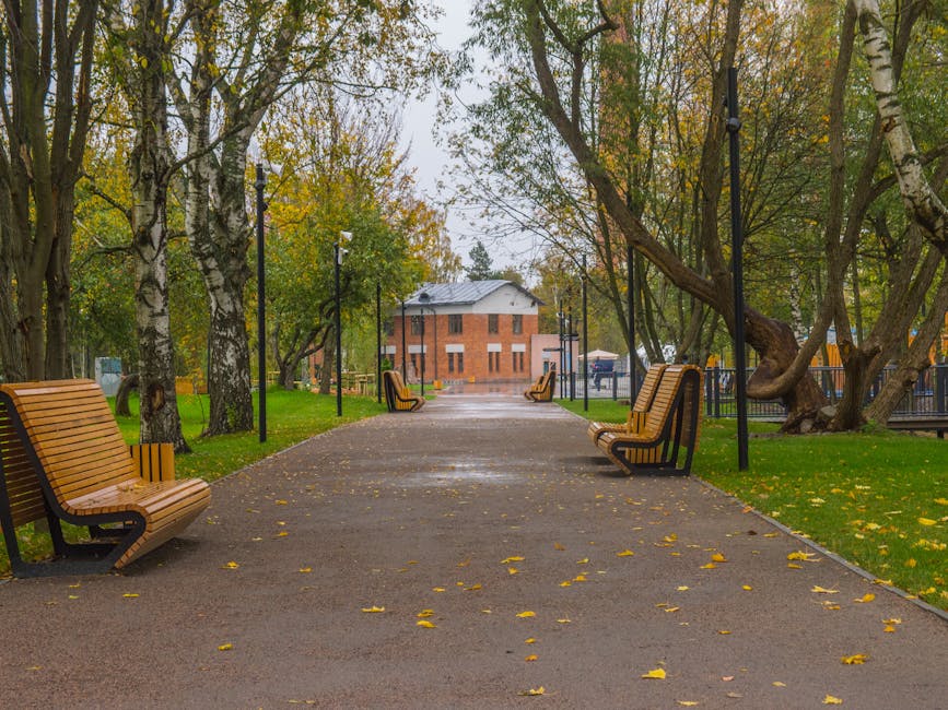 A wide pathway in a park shows several wooden benches with metal frames, positioned on both sides of the paved walkway. Leaf fall blankets the ground, indicating an autumn setting, and mature trees with partly yellow and green foliage line the path. Vintage-style street lamps are evenly spaced along the edges of the pathway, and in the background, a brick building with white-framed windows is visible. The park appears quiet and well-maintained, with no people present. The scene captures an outdoor environment suitable for relaxing or walking during a home relocation or house moving process. This natural setting is associated with the neighbourhood near Highams Park Station, where Man with Van Highams Park offers removals and moving services, including furniture transport and packing assistance.