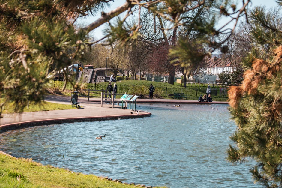 A view of a small urban park with a pond, captured during daylight hours. The pond is surrounded by a paved walkway and a grassy area, with a few ducks swimming on the water. Several people are visible in the background, some standing and others sitting on benches near the pond. The park features trees with bare branches and some with budding foliage, indicating early spring. To the left, part of a green bench is visible, while a metal railing lines the edge of the pond. In the upper left corner, out-of-focus branches with pine needles partially frame the scene, creating a natural border. The overall environment appears calm and well-maintained, suitable for leisure activities. [Company Name], Man with Van Highams Park, specializes in home relocations and furniture transport, supporting efficient packing and moving processes, as reflected in the organized setting of this outdoor area.
