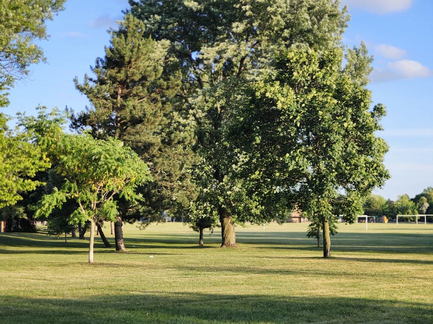 A wide outdoor scene displaying a row of mature trees with lush green foliage, set on a well-maintained grassy field under a clear blue sky with scattered clouds. The trees include a mix of species, some with lighter green leaves and others darker, providing a varied canopy. The grass in the foreground appears freshly mowed, with subtle shadows cast by the trees due to sunlight, indicating a sunny day. In the background, there are glimpses of a sports field with goalposts and some distant structures, suggesting a park or recreational area. The overall environment conveys a peaceful, open outdoor space suitable for walking or outdoor activities. This setting is relevant to ongoing house removals, illustrating an outdoor segment involved in moving logistics or transport routes near high-traffic or residential locations, aligning with content about urgent same-day moves in Highams Park by Man with Van Highams Park.