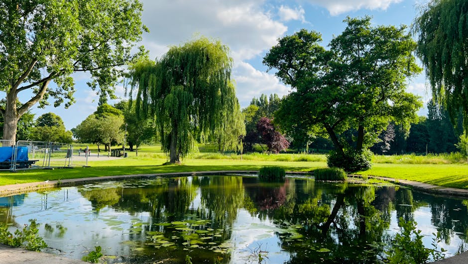 https://manwithvanhighamspark.co.uk/blog/waltham-forest-council-permit-rules-for-highams-park-moves/